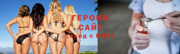 индика Вяземский