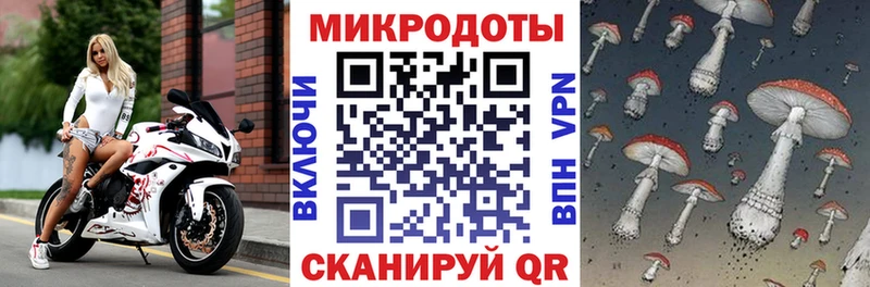 MEGA tor  Гай  Галлюциногенные грибы мицелий  купить  сайты 