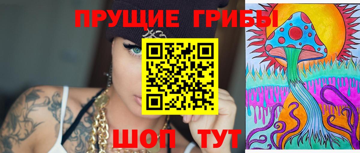 Псилоцибиновые грибы Psilocybe Гай