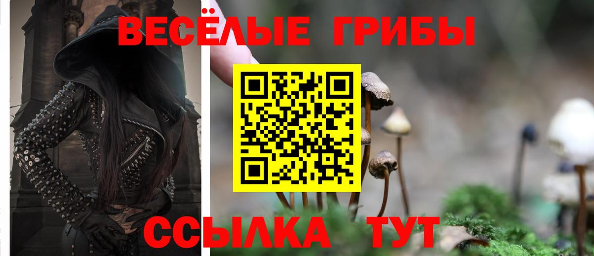 Гай  Псилоцибиновые грибы мухоморы  Псилоцибиновые грибы Psilocybine cubensis  Вход с VPN 