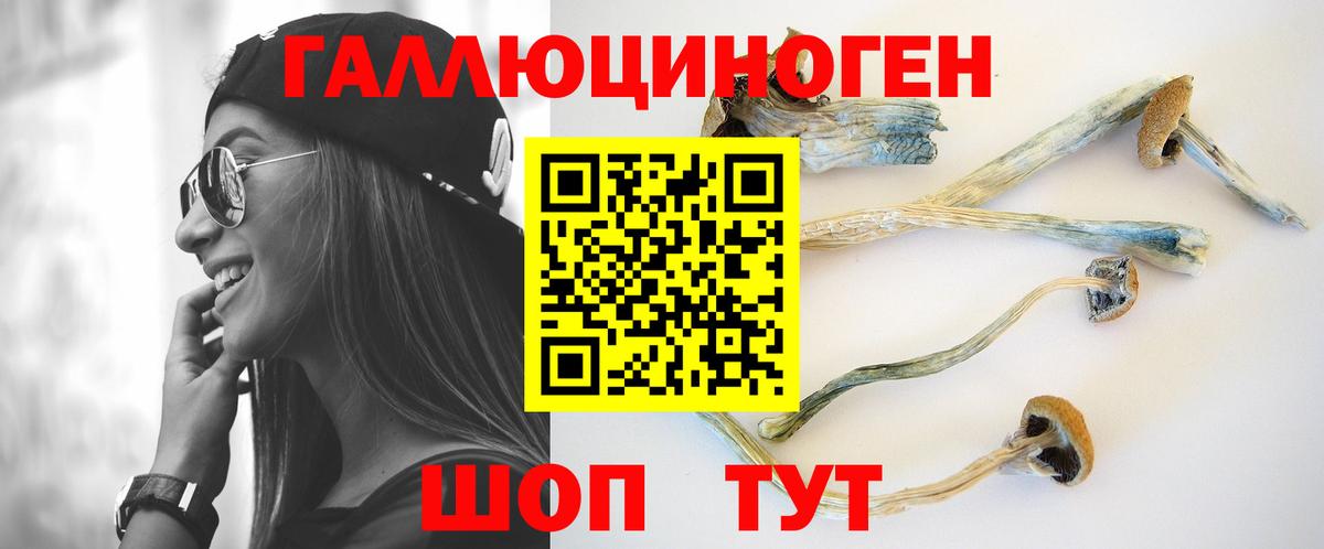 Псилоцибиновые грибы мицелий Гай