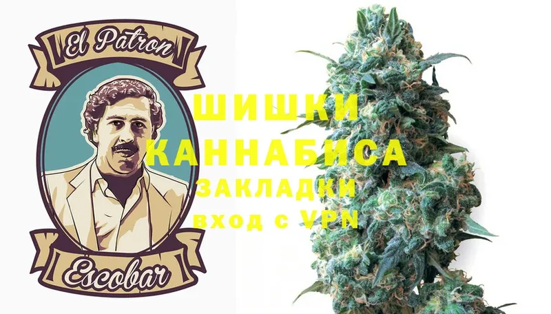 Бошки марихуана OG Kush  Гай 